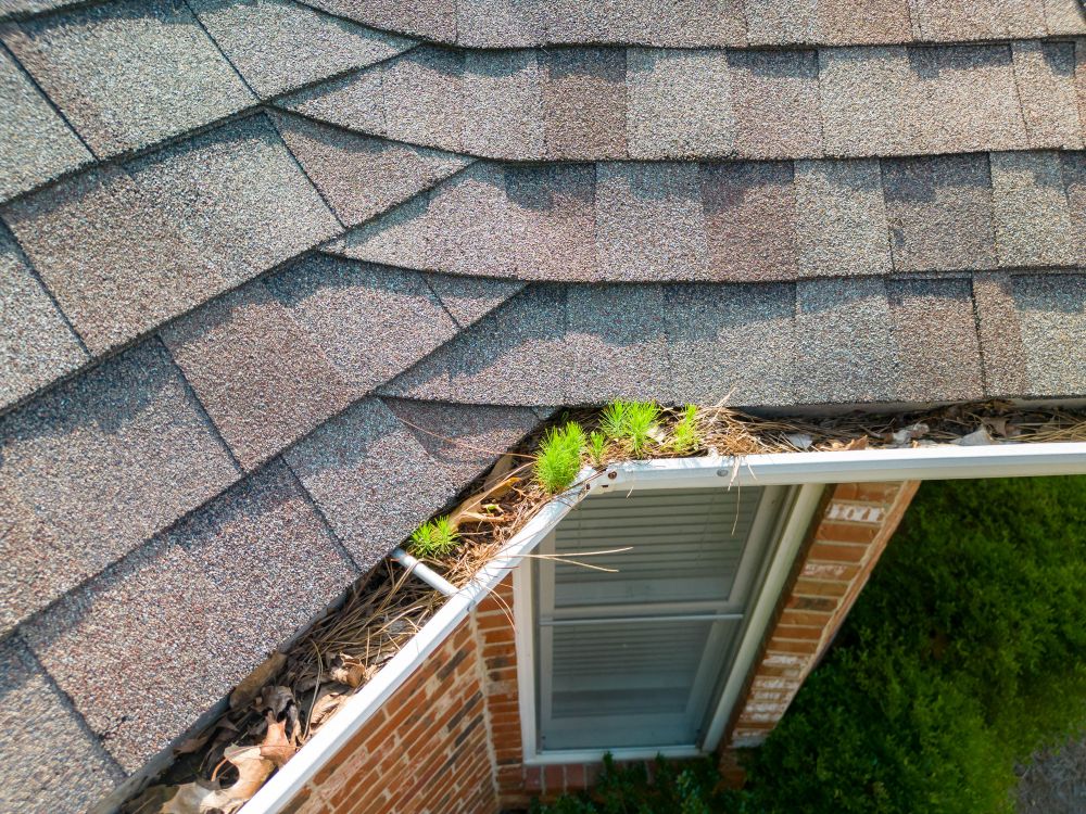Gutter Clearing