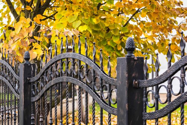 Wrought Iron Fence Washing