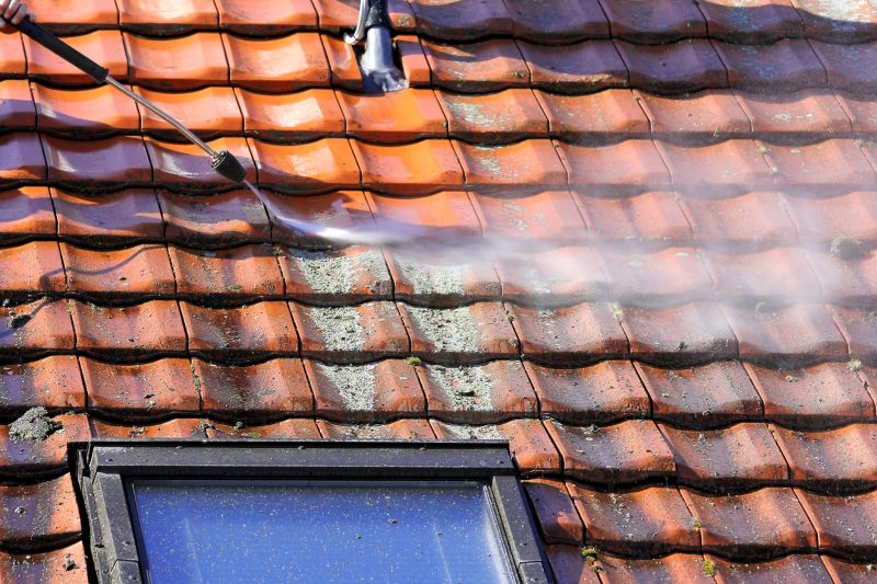 Roofline Cleaning